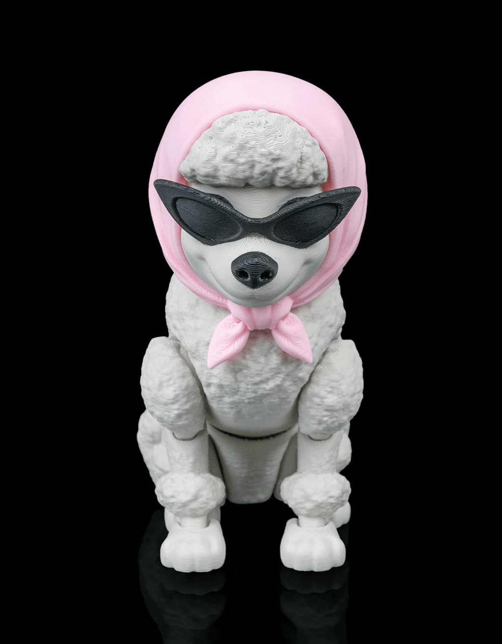 Barbara, a Caniche