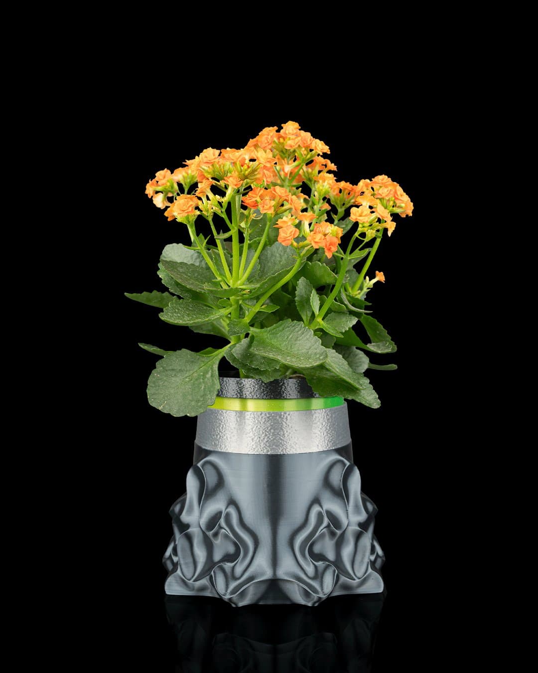 Vaso Bioforge com Anel Indicador