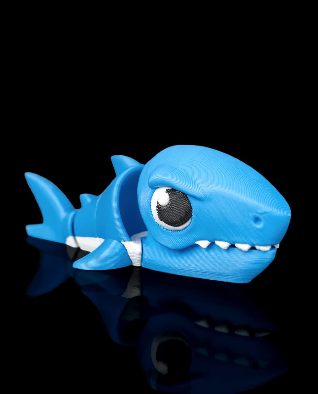 Mola Tubarão