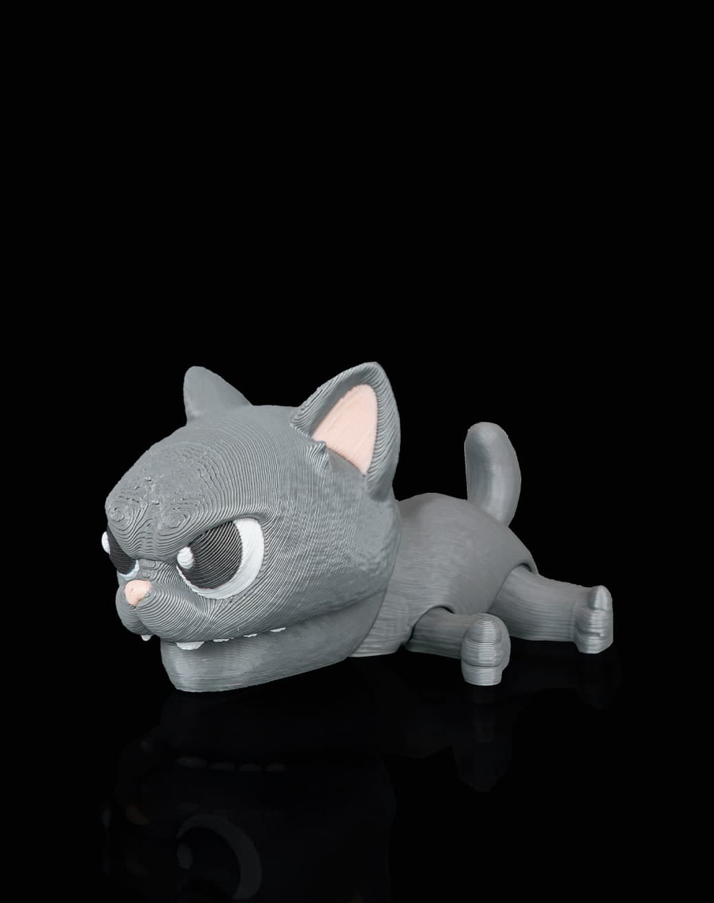 Mola Gatinho Atrevido