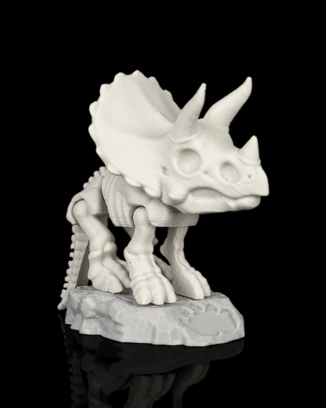 Fóssil Mini Tricerátopo