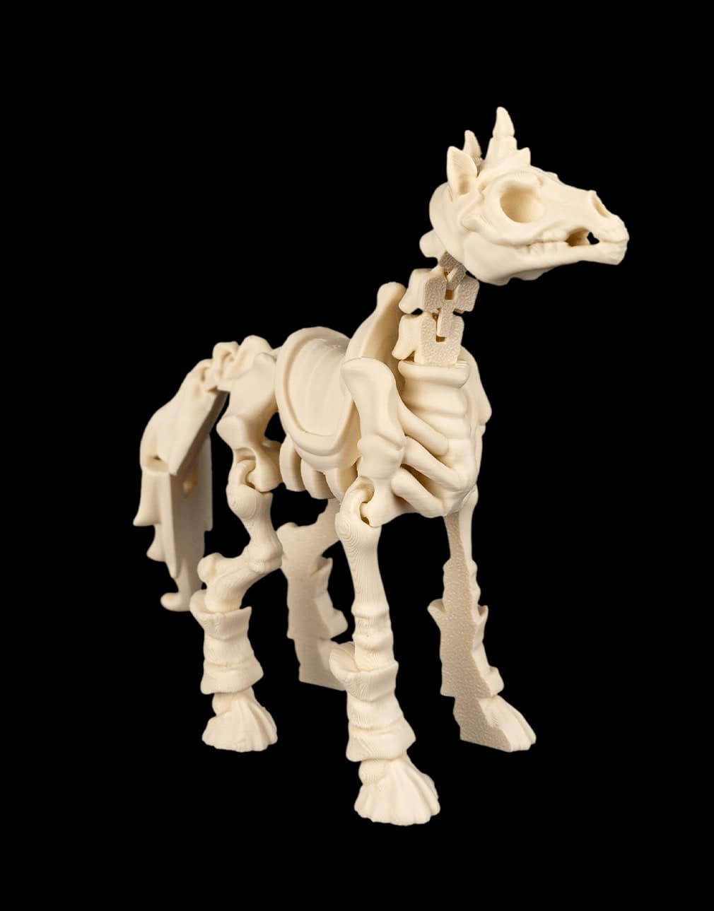 Cavalo Esqueleto Articulado