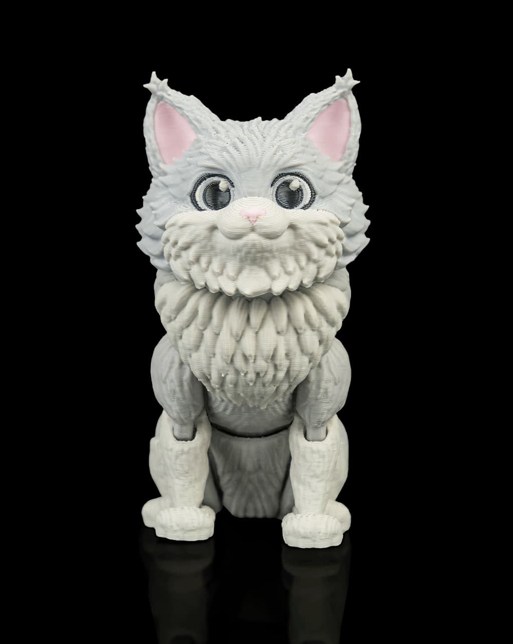 Chester, o Maine Coon Articulado