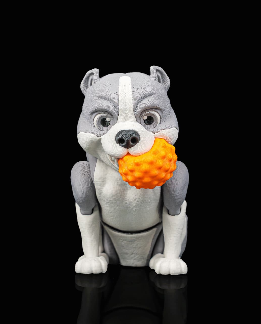 Diesel, o American Bully