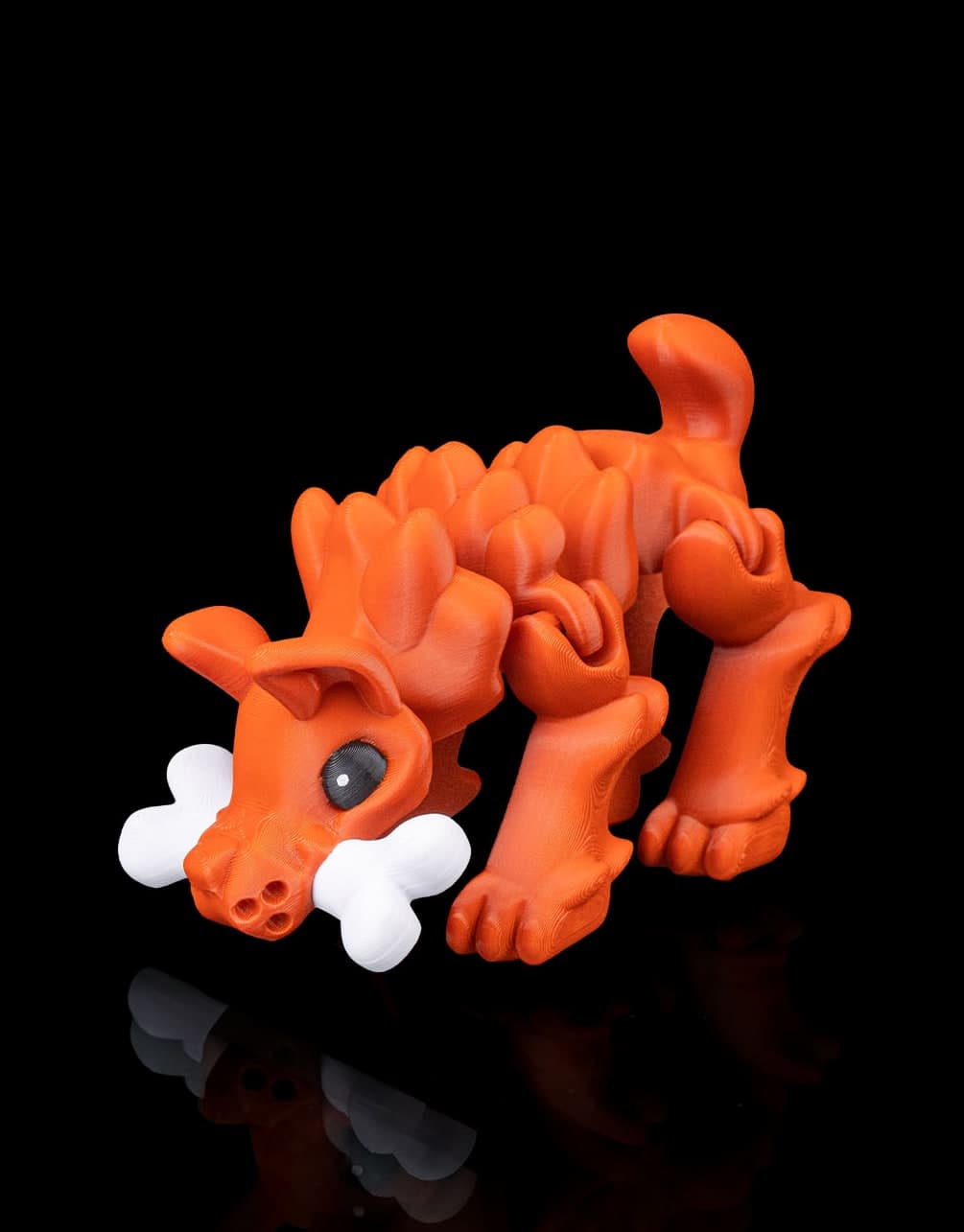 Cão com Petisco