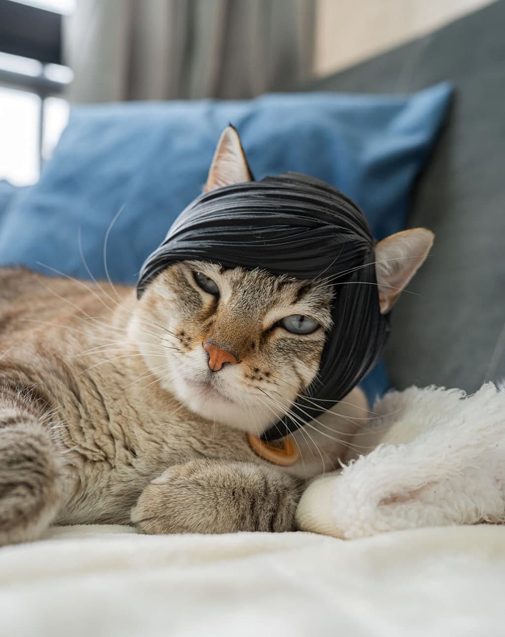 Franja Emo para Gato