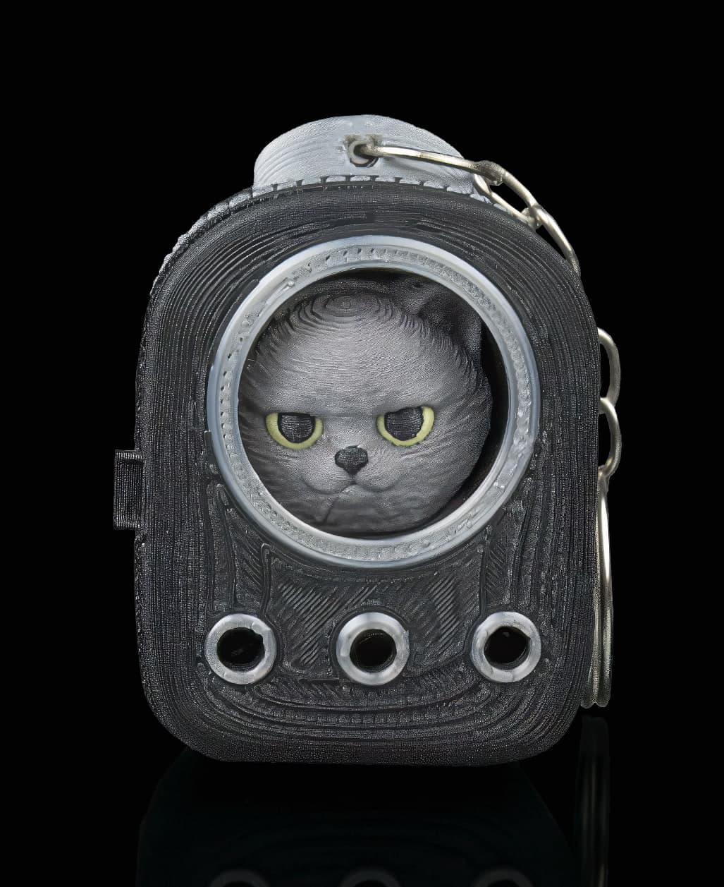 Gato British Shorthair de Mochila