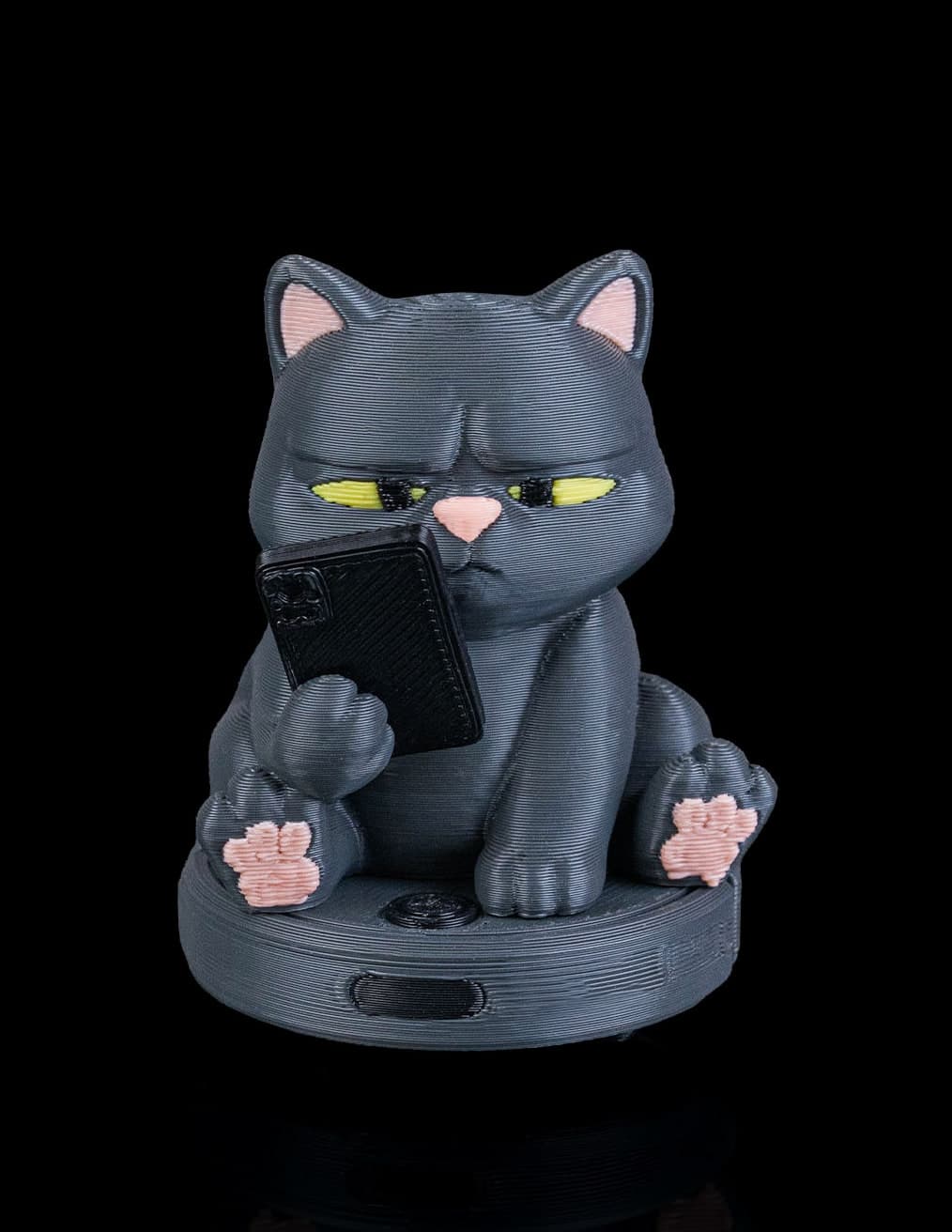 Gato no Aspirador Robô
