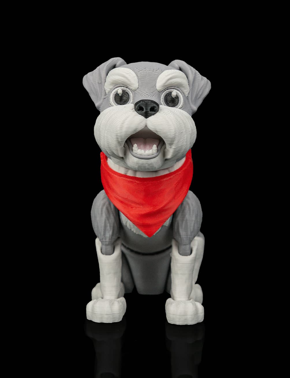George, o Schnauzer