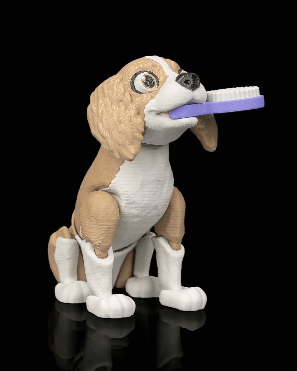 Lady, a Cocker Spaniel
