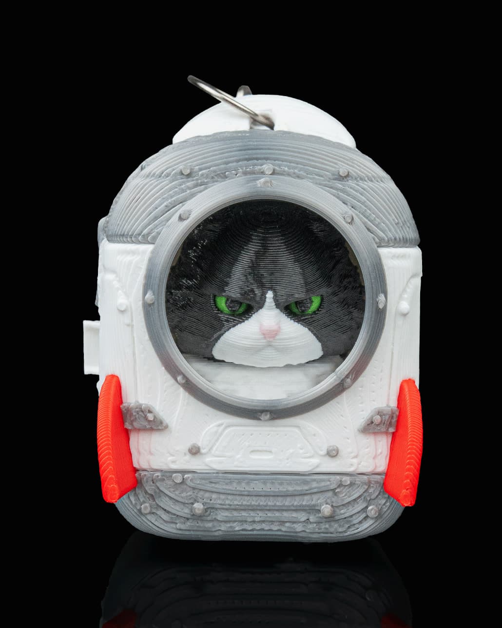 Gato Maine Coon de Mochila