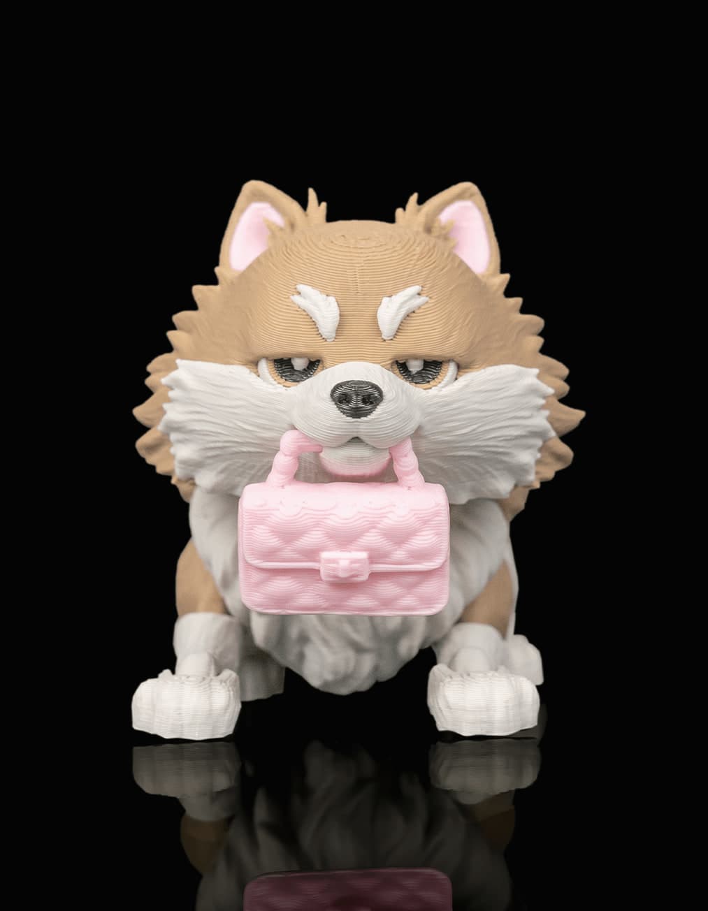 Luna, a Lulu da Pomerânia