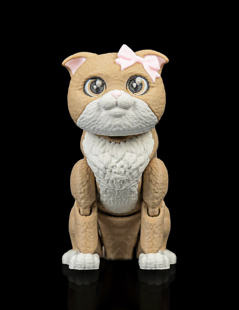 Mochi, o Scottish Fold Articulado