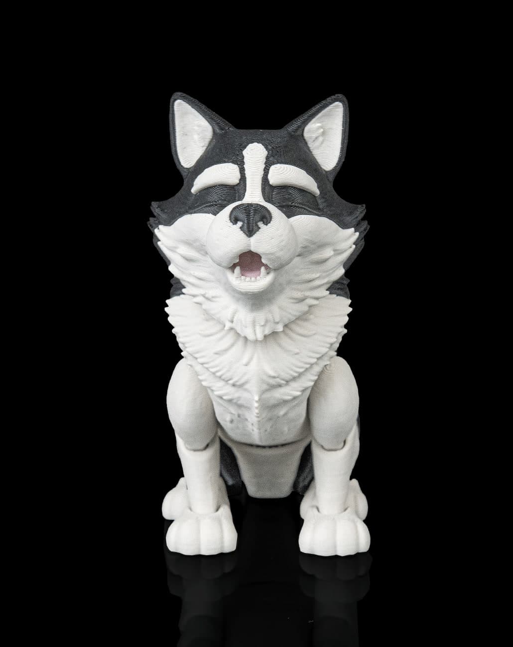 Niko, o Husky