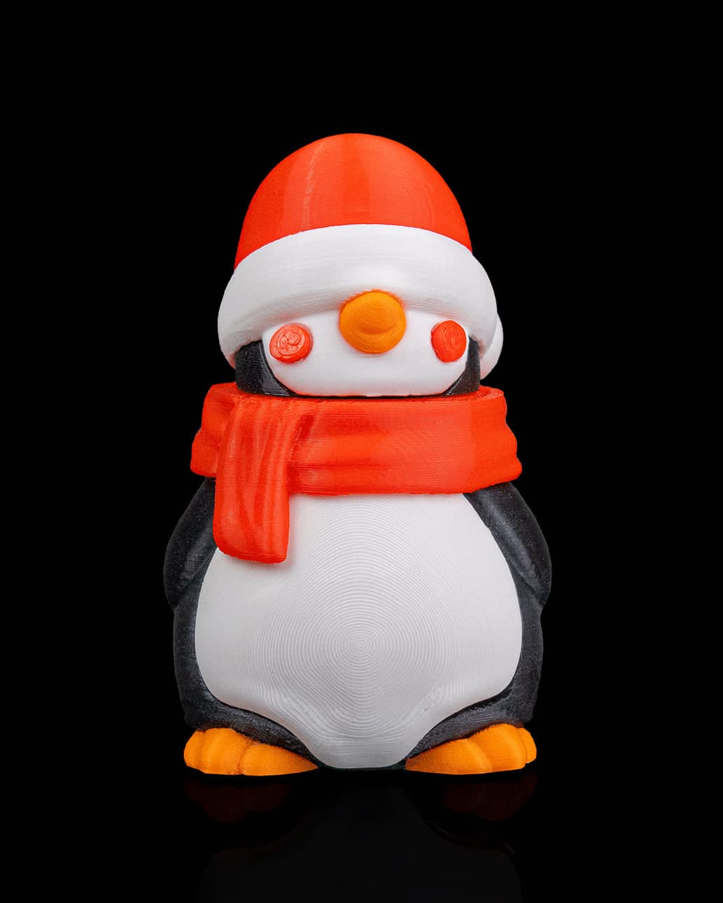 Pinguim Turista do Polo Norte