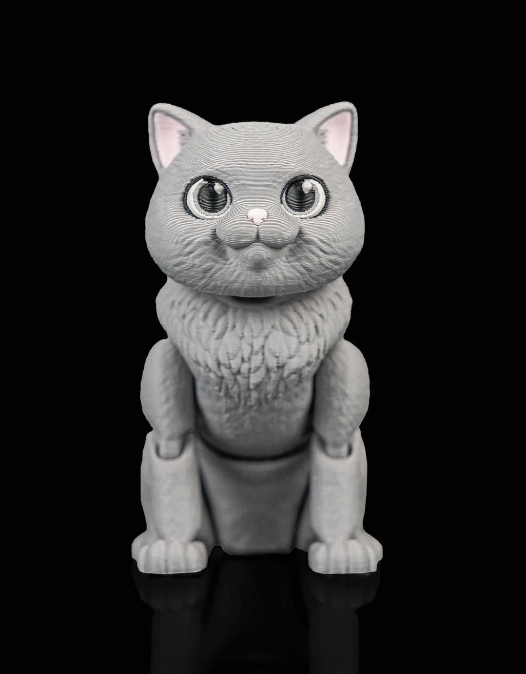 Oliver, o British Shorthair Articulado