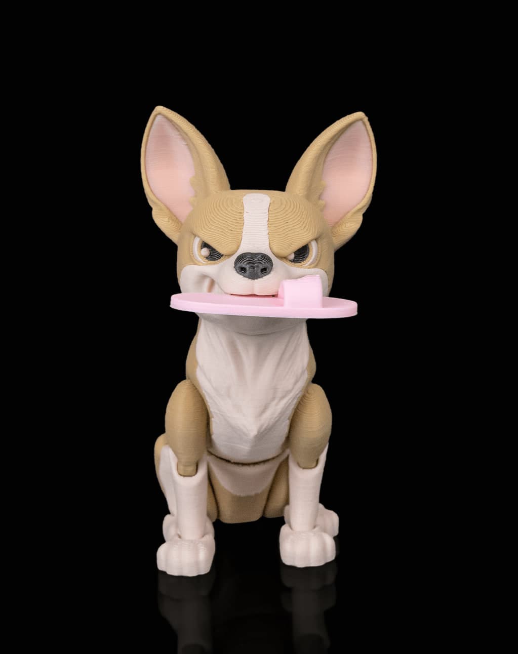 Pepper, a Chihuahua