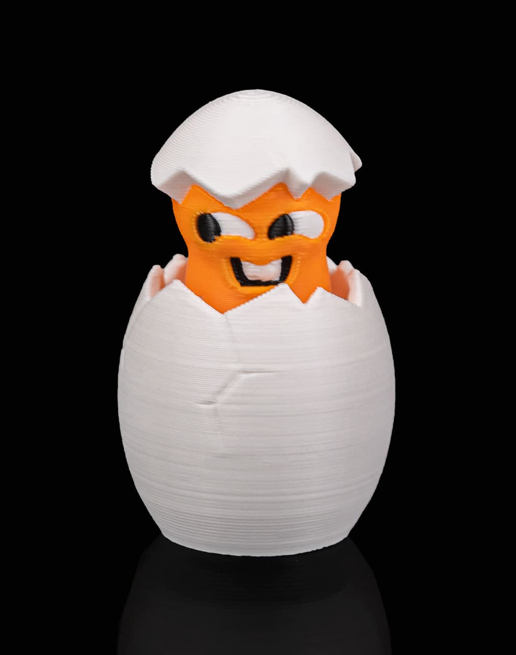 Ovo Traquina