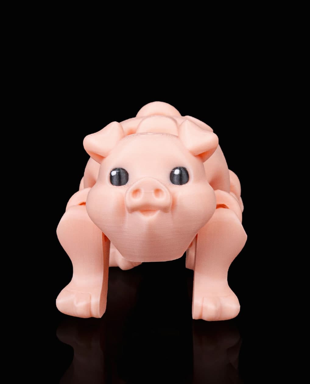 Porquinho de Carregar