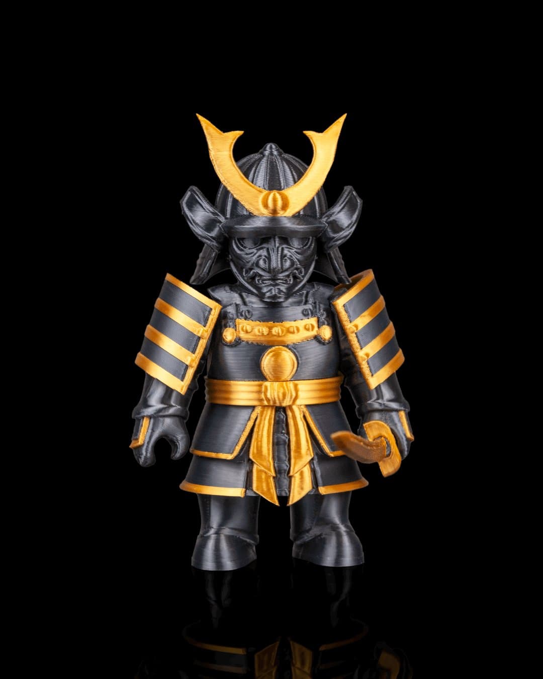 Guerreiro Samurai Sombrio