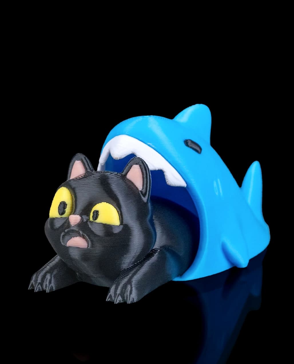 Gato na Boca do Tubarão