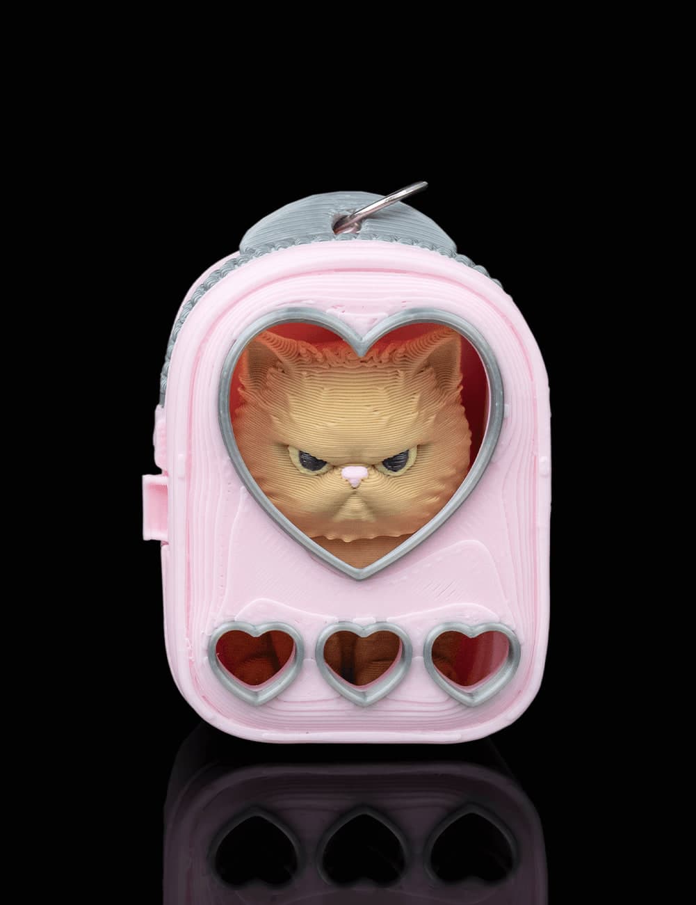 Gato Persa de Mochila