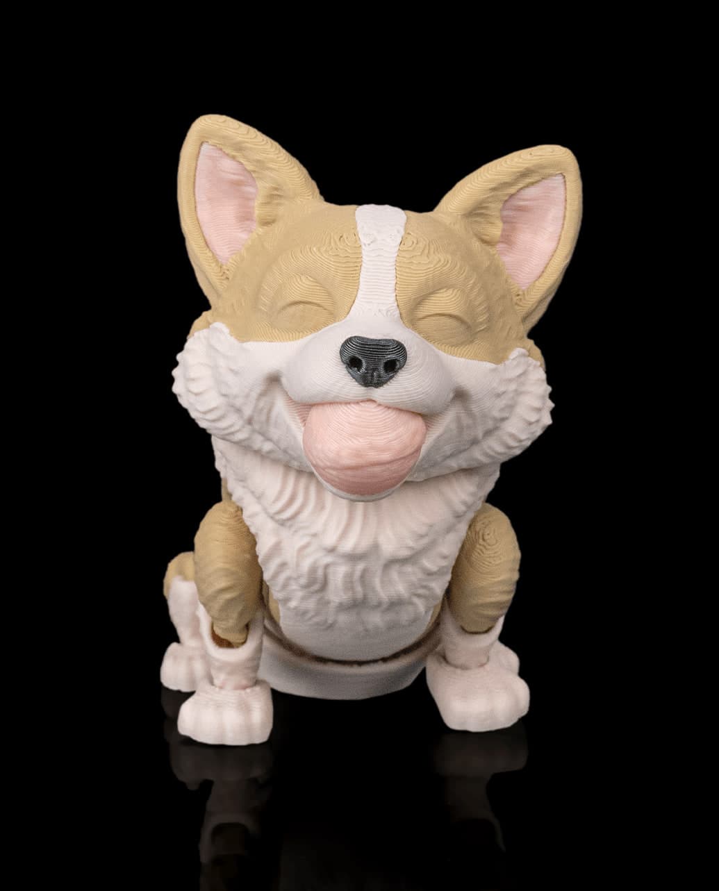 Willow, a Corgi
