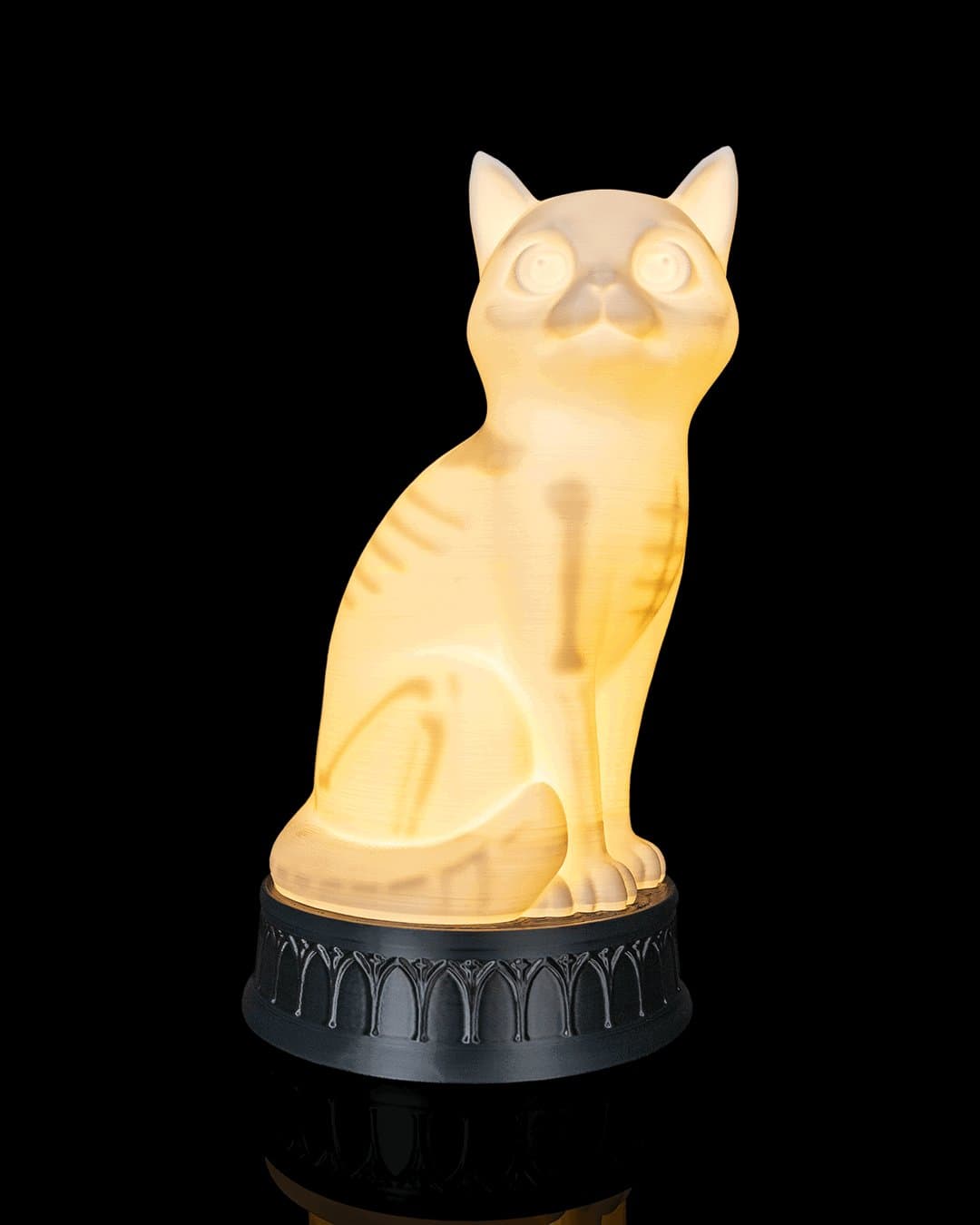 Candeeiro Gato Raio-X