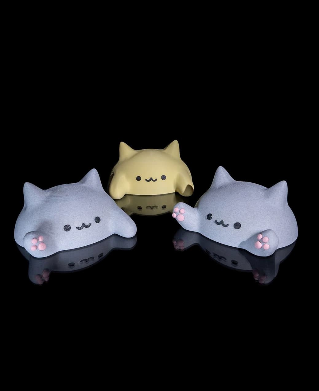 Gato Tapa-Tudo