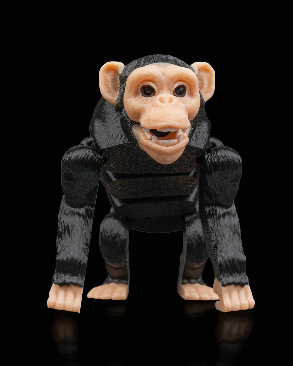 Chimpanzé