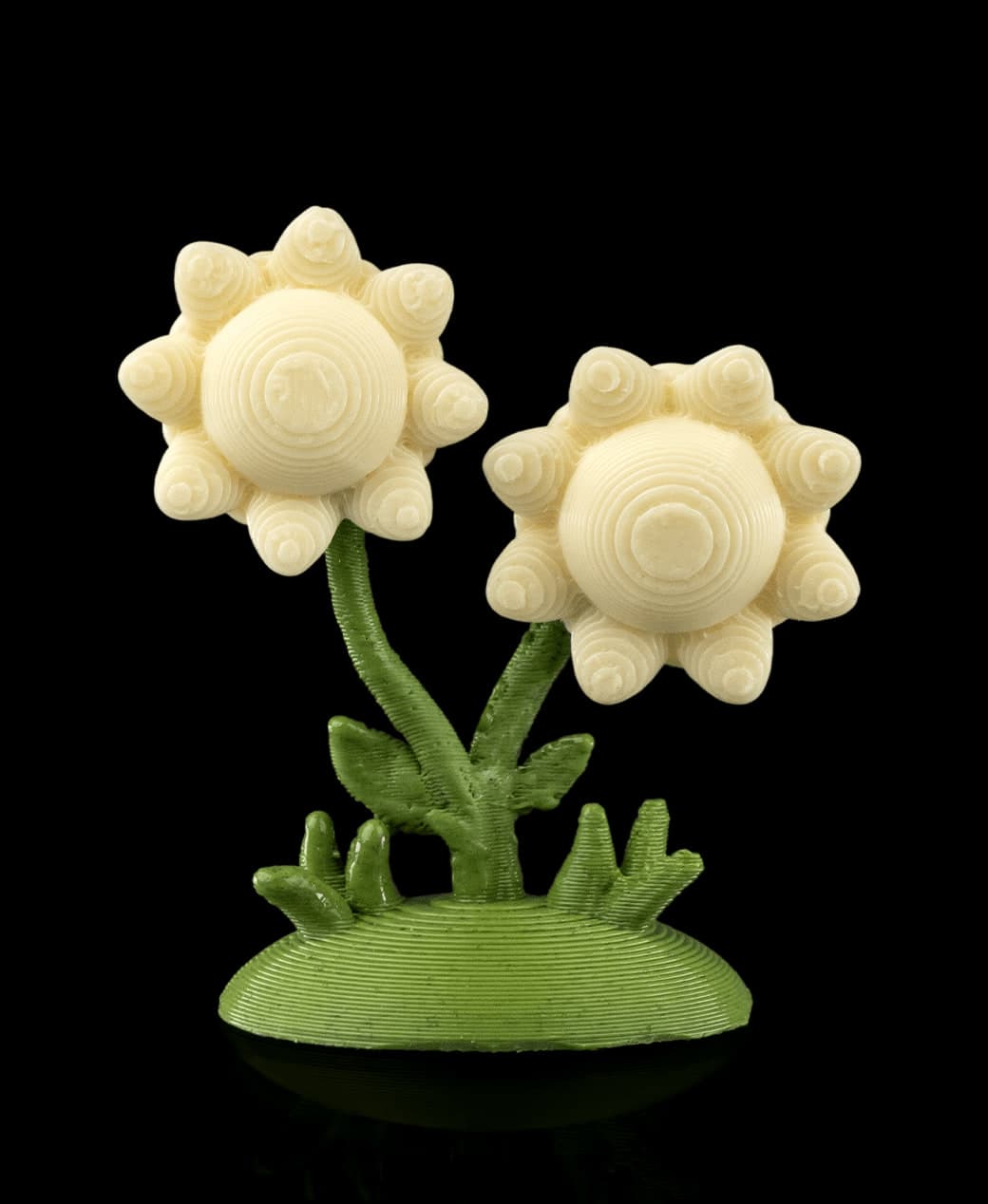 Flores