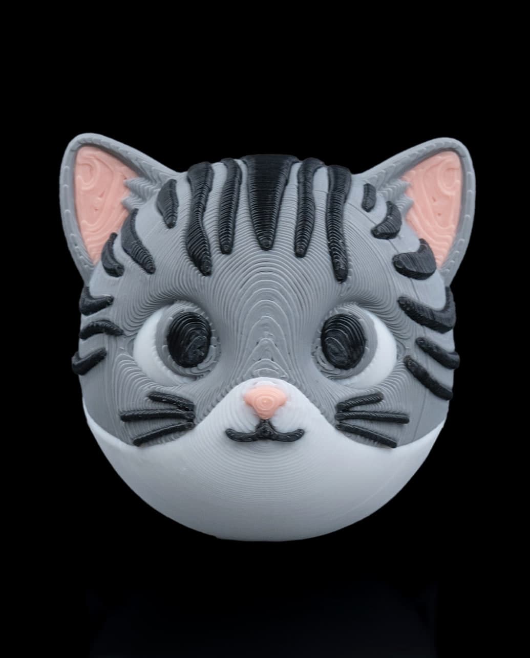 Gato Não Desaparecido