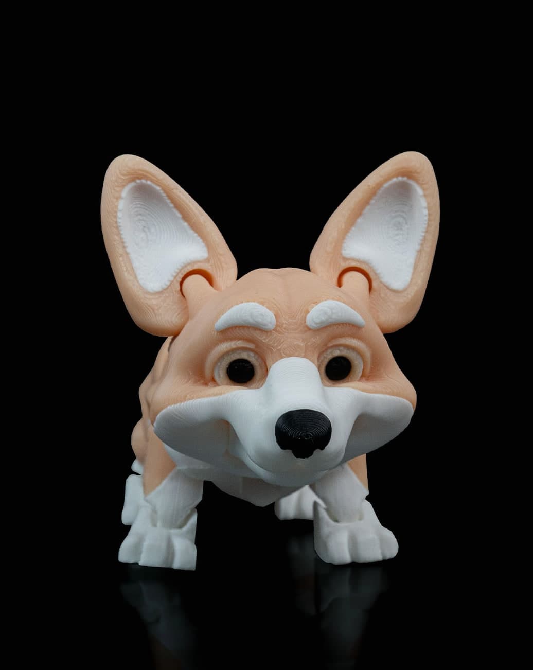 Rufus, o Corgi