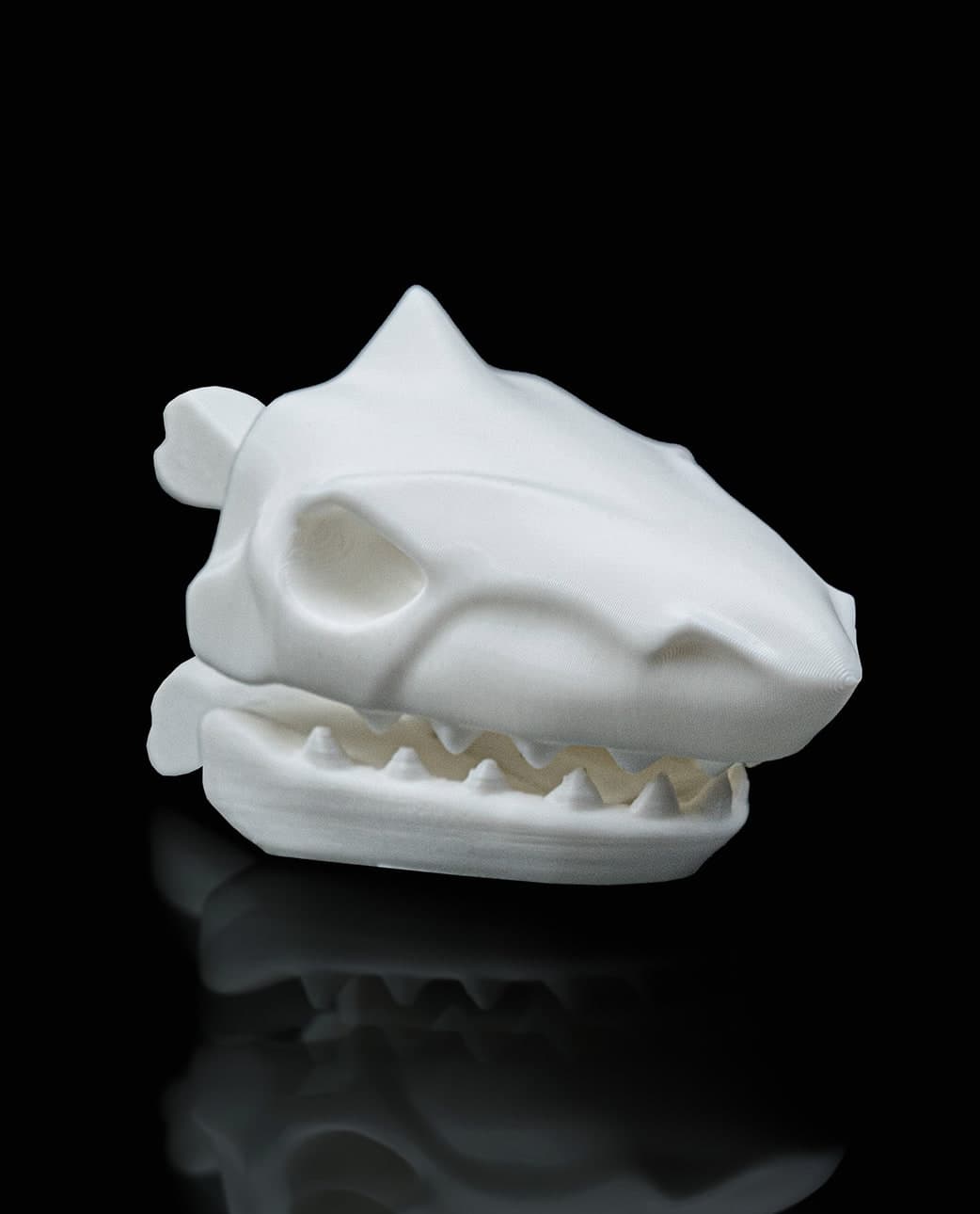 Mola de Saco Caveira de Tubarão