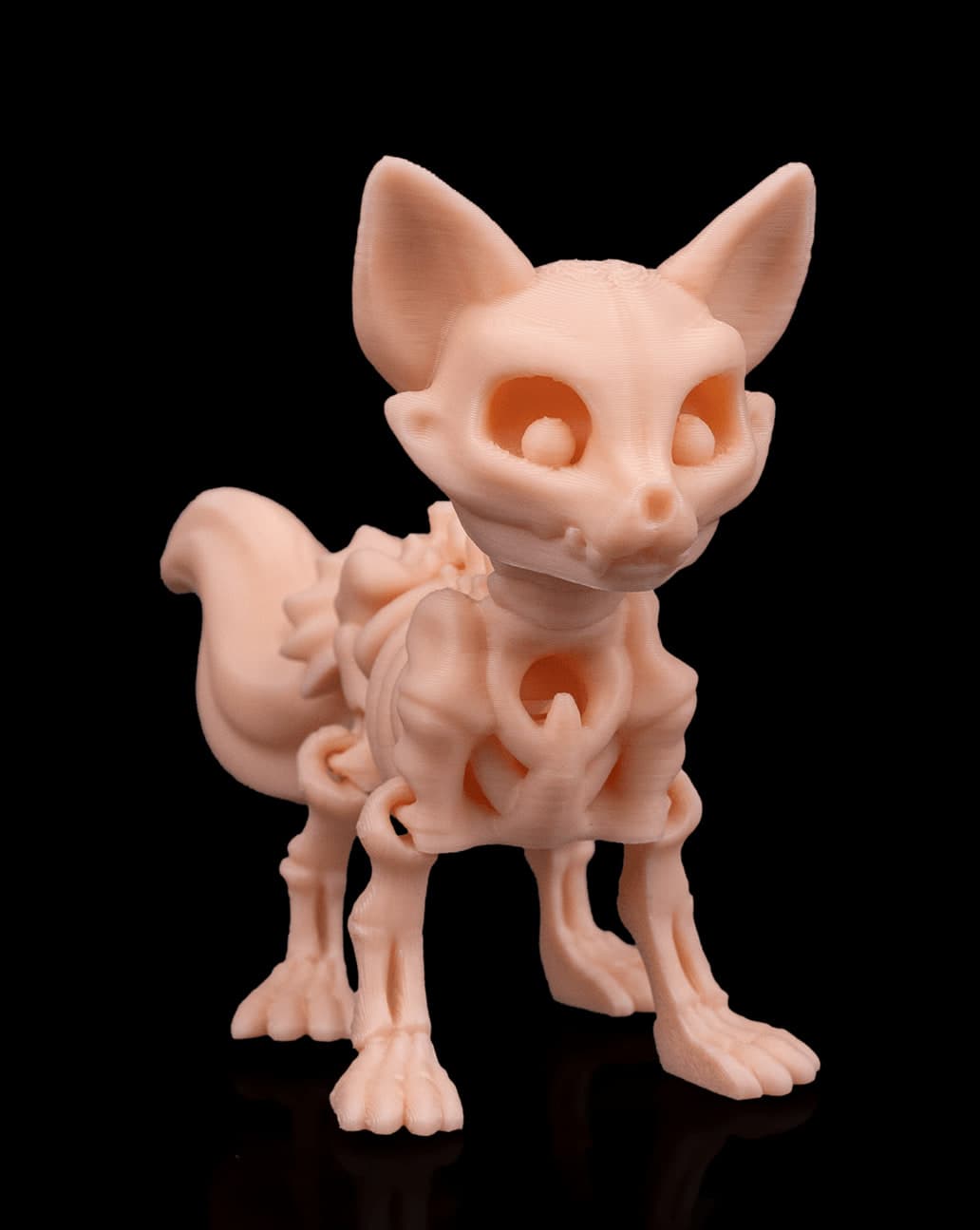 Raposa Esqueleto