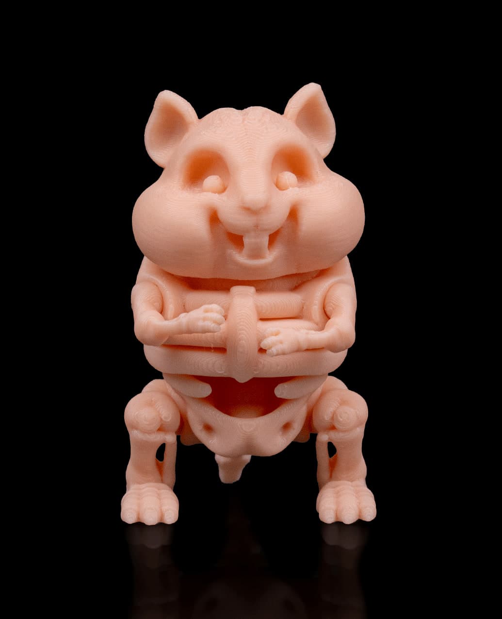Hamster Esqueleto