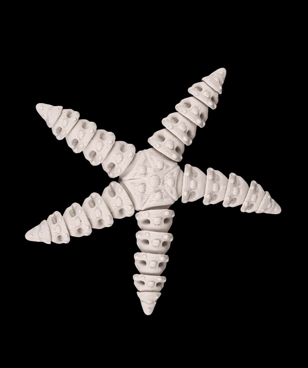 Estrela-do-Mar Esqueleto